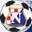 Logo ŠD Napredak Matići