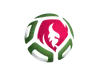 Logo U19 Belarus (nữ)