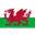 Logo U17 Wales (nữ)