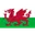 Logo U19 Wales (nữ)