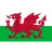 Logo U19 Wales (nữ)