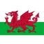 Logo U19 Wales (nữ)