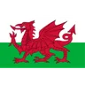 Logo U19 Wales (nữ)