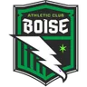 Logo Boise