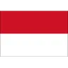 Logo Team Indonesia