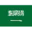 Logo Team Saudi Arabia