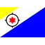 Logo U17 Bonaire (nữ)