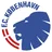 Logo FC Copenhagen W