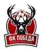 Logo Pobeda Nizhniy Novgorod