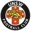 Logo UNSW U20
