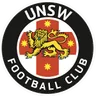 Logo UNSW U20