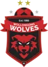 Logo Wollongong Wolves U20
