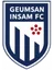 Logo Geumsan Insam