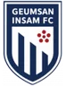 Logo Geumsan Insam