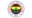 Logo Fenerbahce W