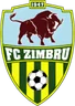 Logo Zimbru Chisinau W