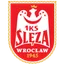 Logo Sleza Wroclaw W