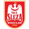 Logo Sleza Wroclaw W