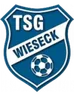 Logo Wieseck U19