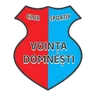 Logo Domnesti IF
