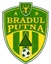 Logo Bradul Putna