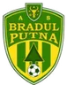 Logo Bradul Putna
