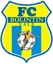 Logo Bolintin Vale