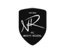 Logo Novyi Rozdil