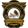 Logo Never Give Up Academy