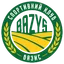 Logo Bazys