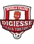 Logo Digiesse PraiaTortora