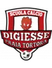 Logo Digiesse PraiaTortora