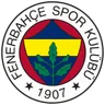 Logo Fenerbahce U19