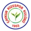Logo Rizespor U19