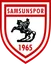 Logo Samsunspor U19