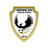 Logo Virginia