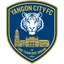 Logo Yangon Royals