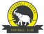Logo Copperbelt Ladies W