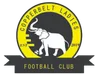 Logo Copperbelt Ladies W