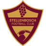 Logo Stellenbosch W