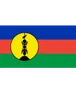 Logo U20 New Caledonia (nữ)
