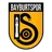 Logo Bayburtspor