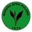 Logo Borcka Spor