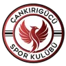 Logo Cankirigucu