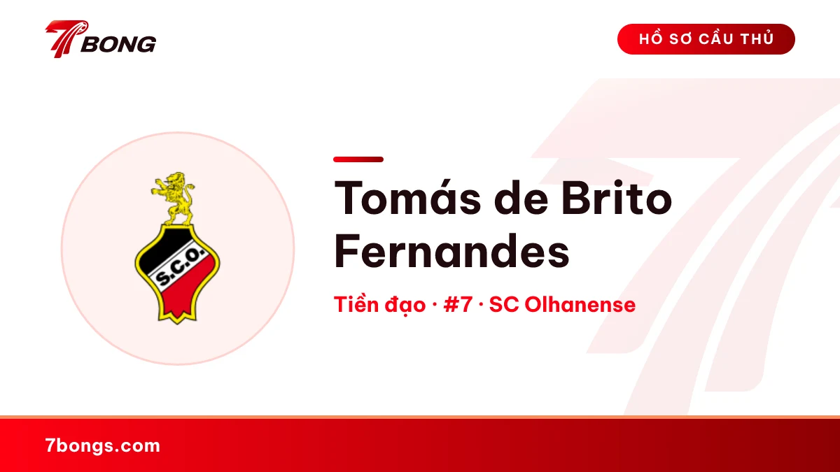 Tomás de Brito Fernandes — SC Olhanense