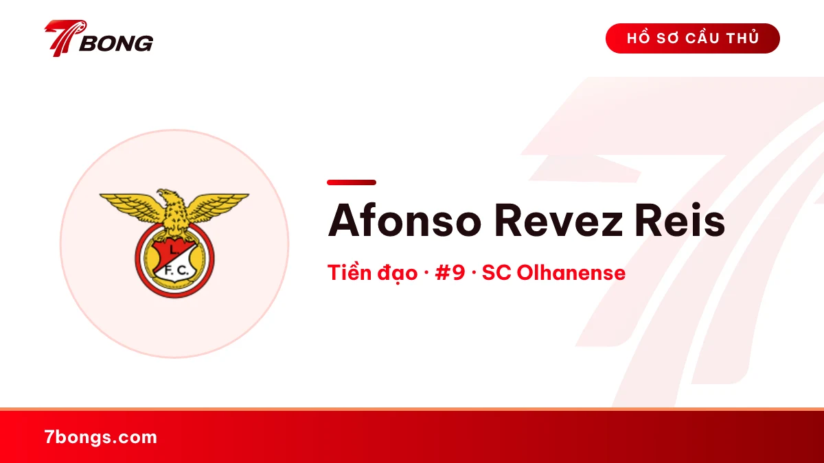 Afonso Revez Reis — SC Olhanense