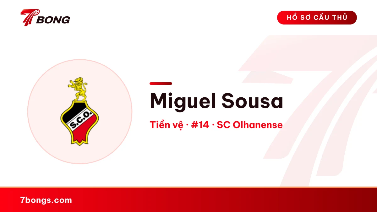 Miguel Sousa — SC Olhanense