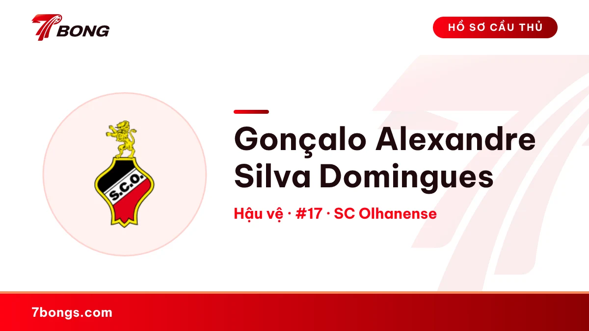 Gonçalo Alexandre Silva Domingues — SC Olhanense
