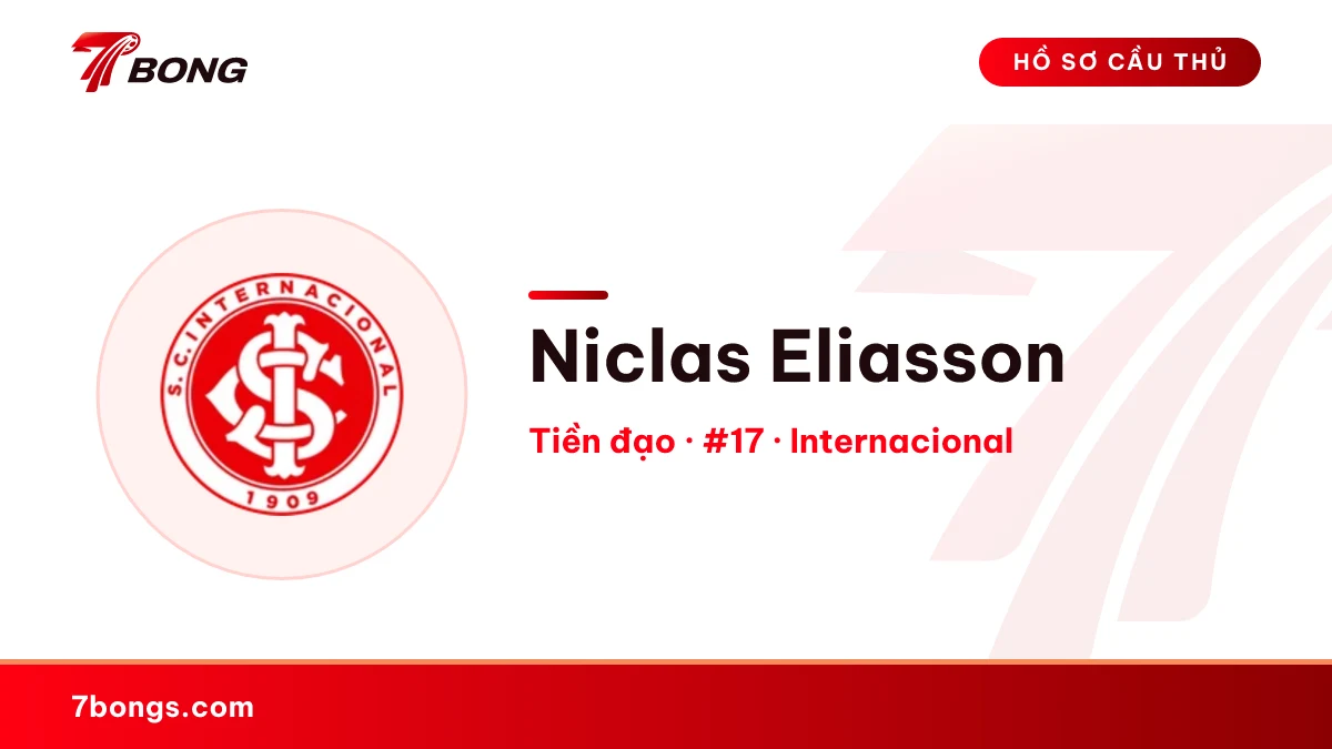 Niclas Eliasson — Internacional