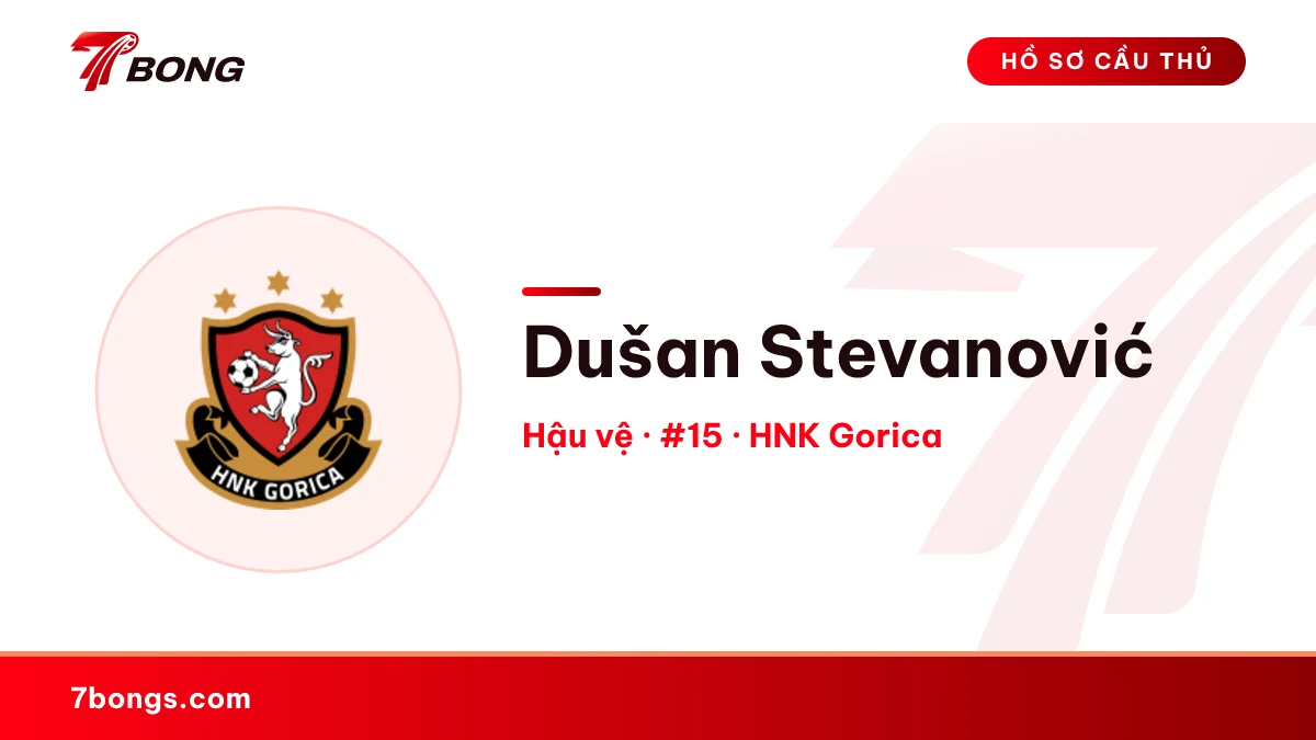 Dušan Stevanović — HNK Gorica